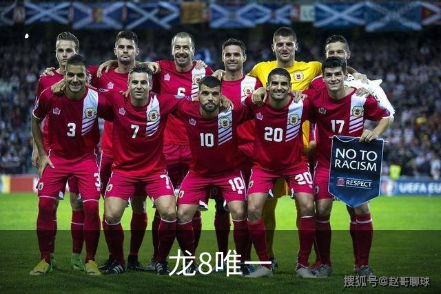 龙8唯一公司介绍图
